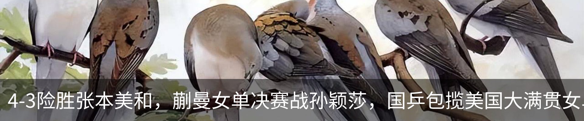新闻中心