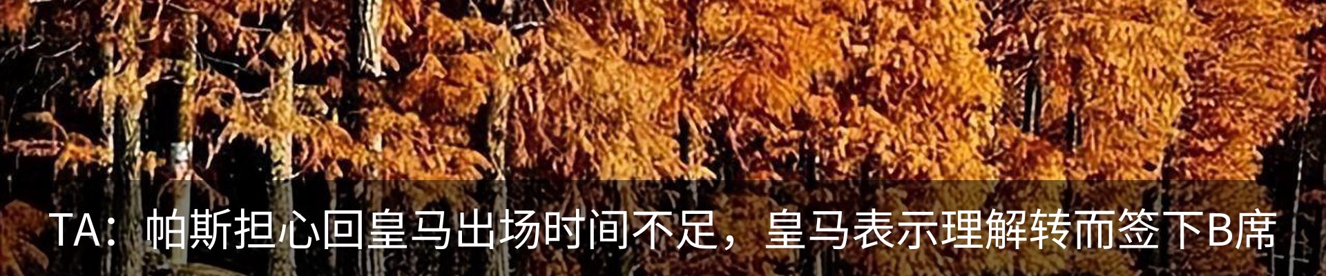 新闻中心